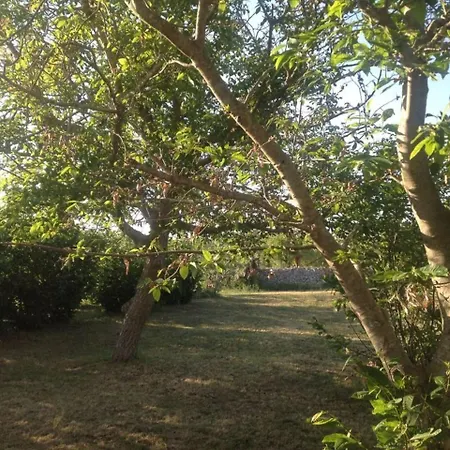 Sarena * Ceglie Messapica